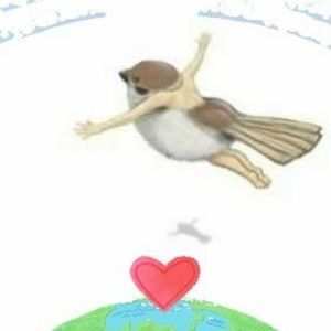 Meet your Posher, Jolene